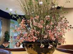 -黑松白鹿(崇文门新活馆店)
