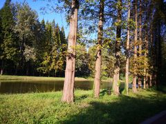 -黄海国家森林公园