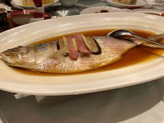 清蒸鲥鱼-沪碟·精菜坊(闵行店)