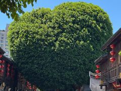 -三坊七巷历史文化街区