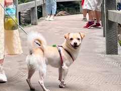-山西壶关太行山大峡谷旅游景区