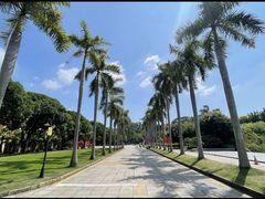 -厦门大学(思明校区)