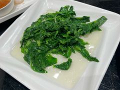 高山豆苗-新南华大酒店(广中店)
