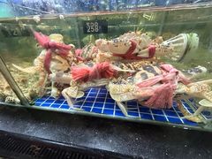 -明记海鲜大排档(巽寮湾店)