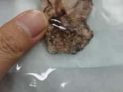 -奈斯宠物医院·核磁CT·异宠专科·内镜(中南店)