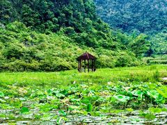 -靖西鹅泉风景区