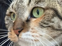 -平行世界·猫咖(首经贸店)