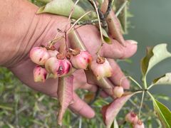 -玻璃桥景区石牛寨
