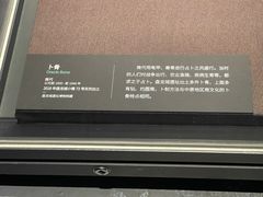 -盘龙城遗址博物院