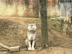 -杭州野生动物世界
