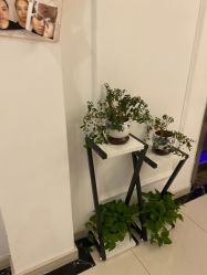 点击看大图 -香秀空间科技抗衰·美容中心