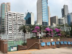 -九龙公园