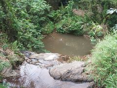 -大雁山风景区