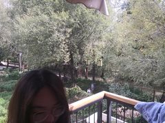 -丁丁&当当牦牛酸奶·酥油面包(官门口店)