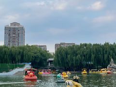 -团结湖公园