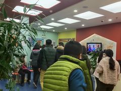 -LILY英语思维馆(玉泉路店)