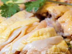 -先机泉水鸡汤(南山老君洞店)