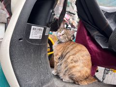 -百年尹氏汤包(湖南路狮子桥店)