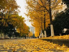 -江南大学(蠡湖校区)