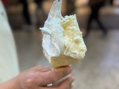 -柠檬车露(卖草地店)