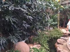 -北戴河集发农业梦想王国