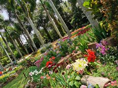 -深圳仙湖植物园
