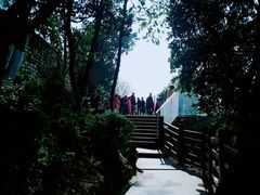 -铁山坪森林公园