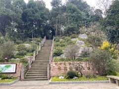 -铁山坪森林公园