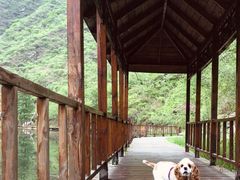 -白河湾生态旅游一条川