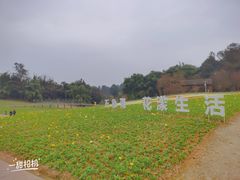 -保利石象湖景区
