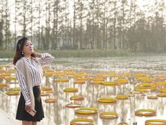 -上海长兴岛郊野公园