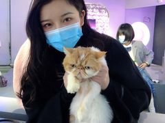 -极木²邸 人与宠物·互动社区
