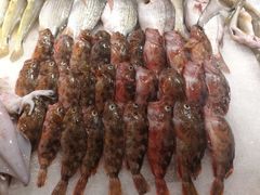 斧头鱼-天天渔港海鲜酒家(石浦玉泉路店)