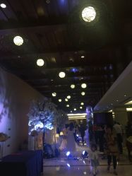 点击看大图 -苏州福朋喜来登酒店·宴会厅