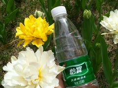 android_upload_pic-福成自助烤肉(华冠天地城关店)