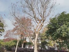 -武汉紫薇都市田园