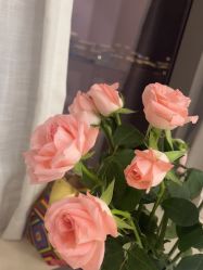 -KONSISTANT科思坦汀问题肌·科技美肤