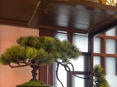 -梁溪河畔·吉府花园(南长街南下塘店)