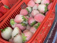 -九鼎轩脆毛肚火锅(三钢里店)