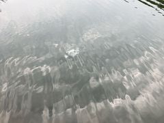景点-石塘人家