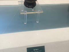 -四川大学博物馆