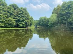 -尚湖风景区
