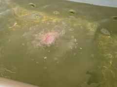 -大连金石滩绿发温泉假日酒店