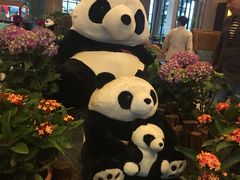 -成都保利公园皇冠假日酒店(熊猫基地店)