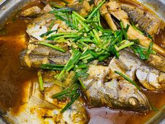 海杂鱼-大清花饺子城(昌黎店)