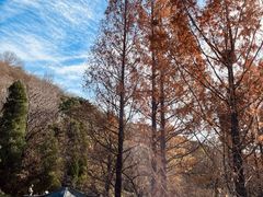 -国家植物园南园