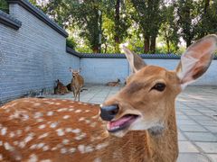 -北京野生动物园