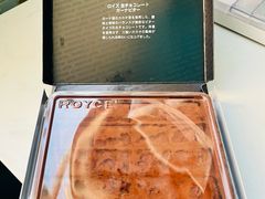 -关西国际机场直营免税店