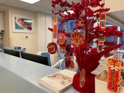 -杭州贝瑞斯美华妇儿医院·早孕·产检·儿科