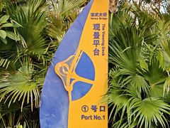 -演武大桥观景平台